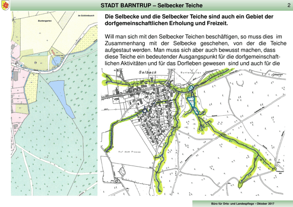 Teiche_Selbeck_(2)